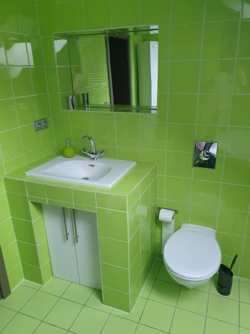 Apartman Radcice 70M2 V Rodinne Vile Reichenberg Exterior foto